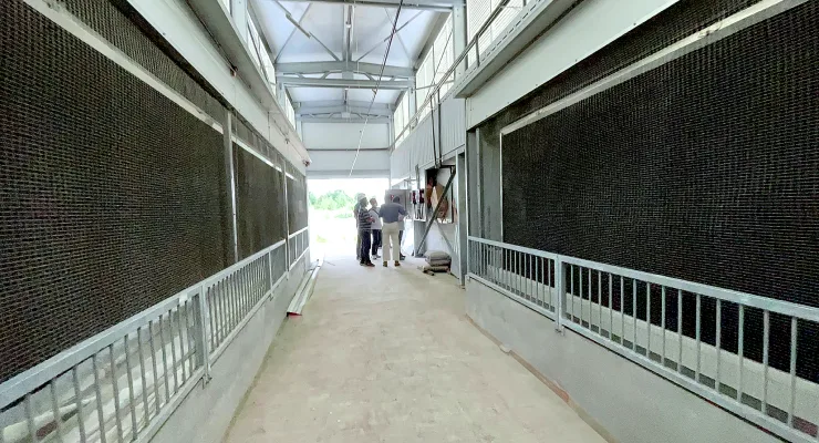 Energy-Saving Water Curtain Cooling and Carbon Emission Reduction